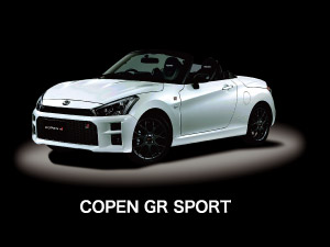 COPEN GR SPORT